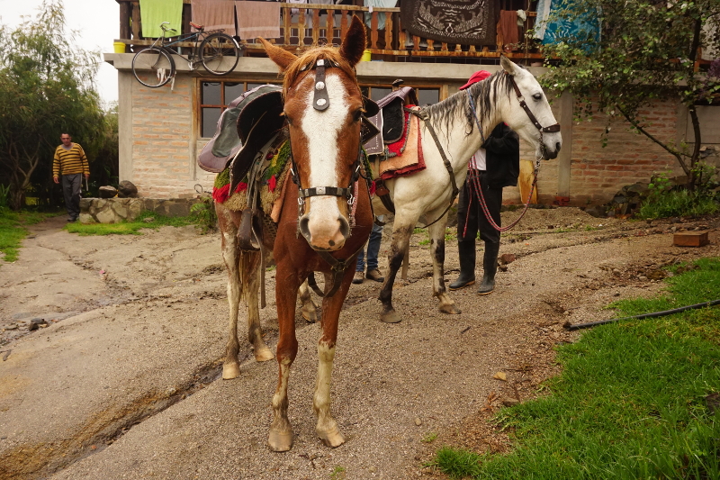 Horse Riding, Chugchilan