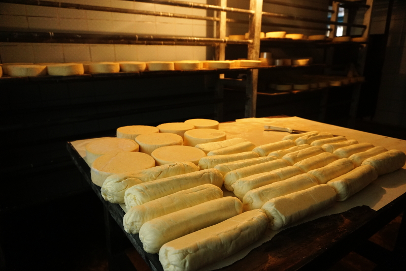 Cheese Factory, Chugchilan