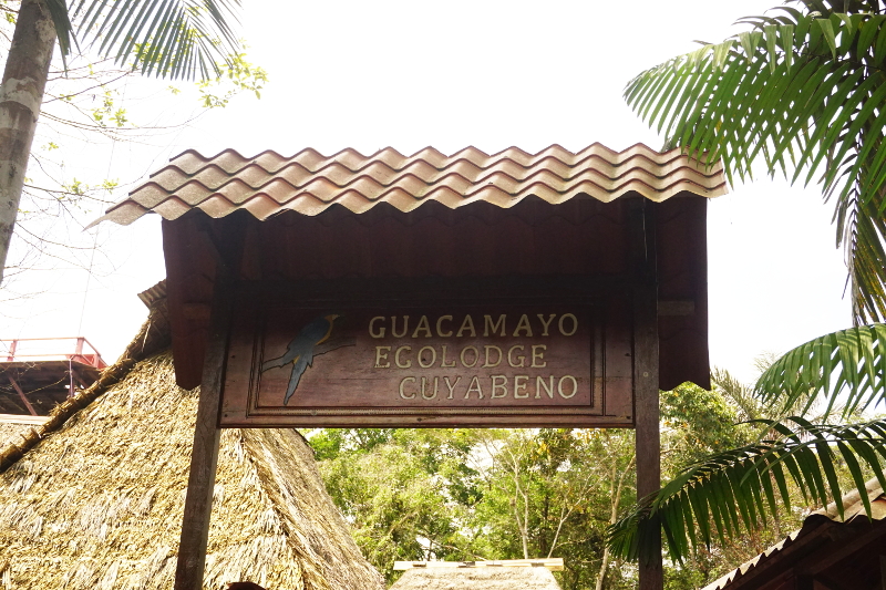 Guacamayo ecolodge, Cuyabeno Reserve, Visit Amazon in Ecuador
