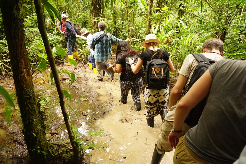 Swamp walking, Cuyabeno Reserve, Visit Amazon in Ecuador