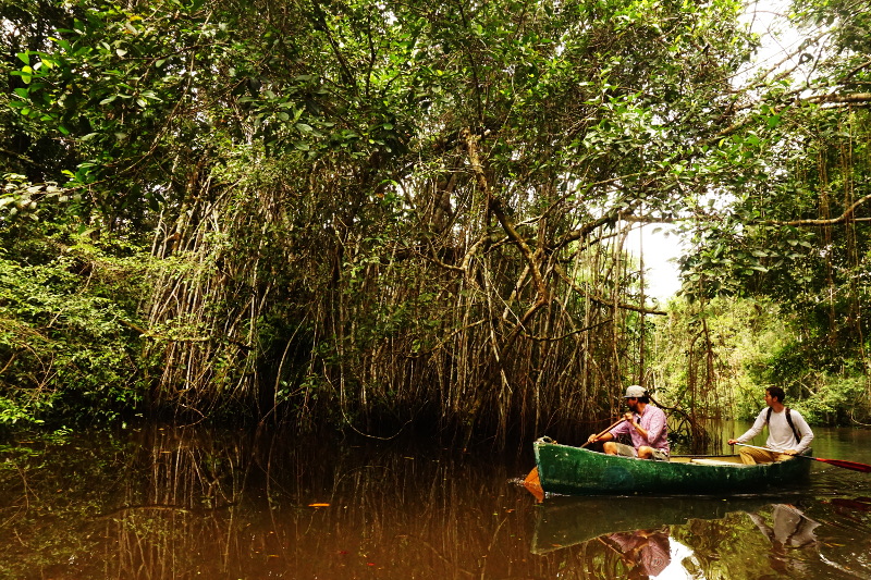 A rowing team, Cuyabeno Reserve, Visit Amazon in Ecuador