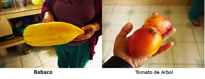 Babaco and Tomato de Arbol, Ecuador
