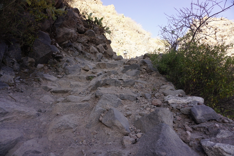 Hike up from Sangalle to Colca Canyon, Colca Canyon
