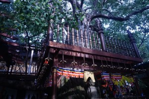 Gangaramaya Temple, Colombo