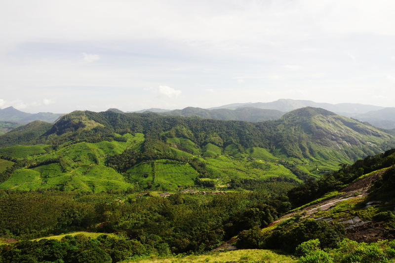 Munnar, Kerala