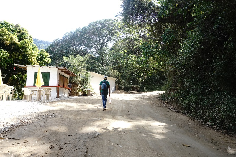 Walking in Minca, Santa Marta
