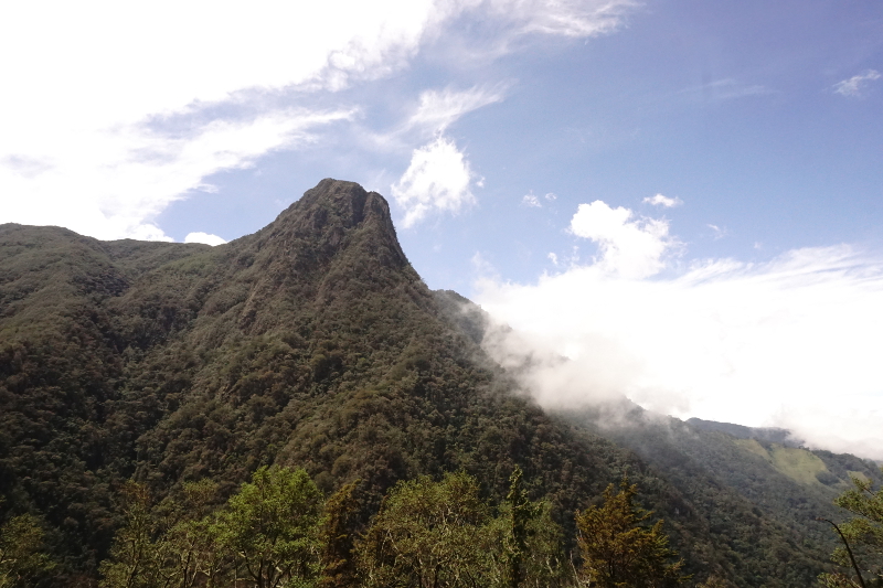 View from Finca la Montaña, Cocora Valley, Colombia