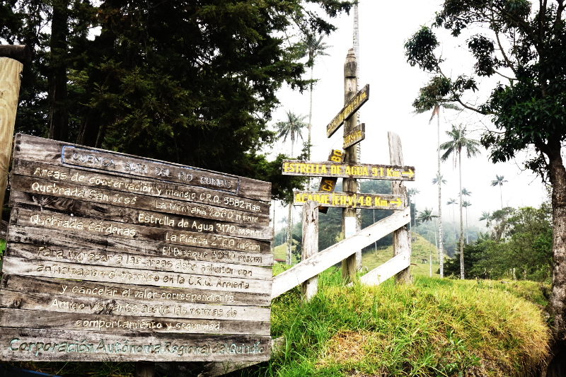 Start of Cocora Valley Loop, Colombia