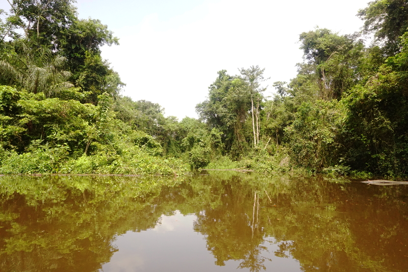 Cuyabeno River, Visit Amazon in Ecuador