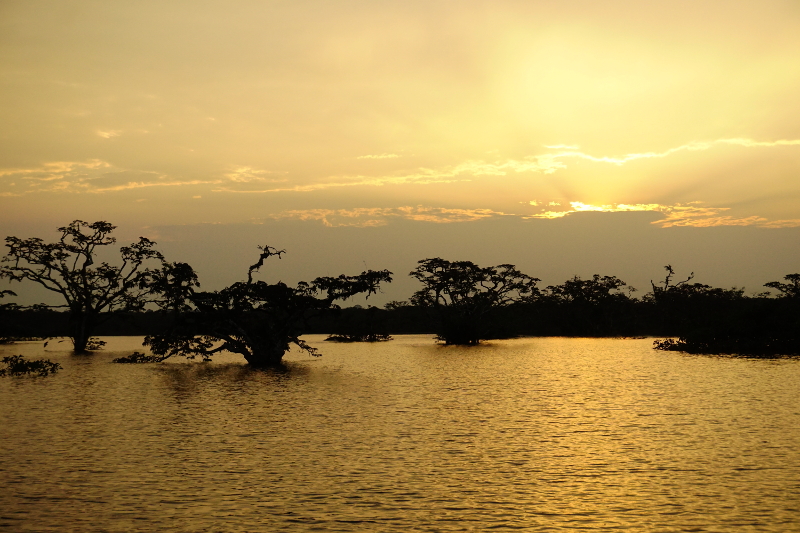 Cuyabeno Reserve, Visit Amazon in Ecuador