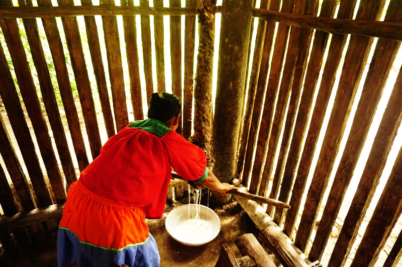 Drying the yuca, Cuyabeno Reserve, Visit Amazon in Ecuador