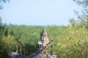 Tortuga Bay, Santa Cruz, Galapagos Islands