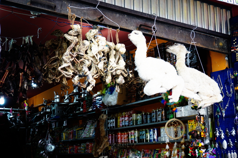 Llamas, Witches Market, La Paz 