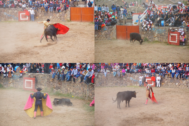 Bullfighting, Ollan, Sacred Valley, Peru
