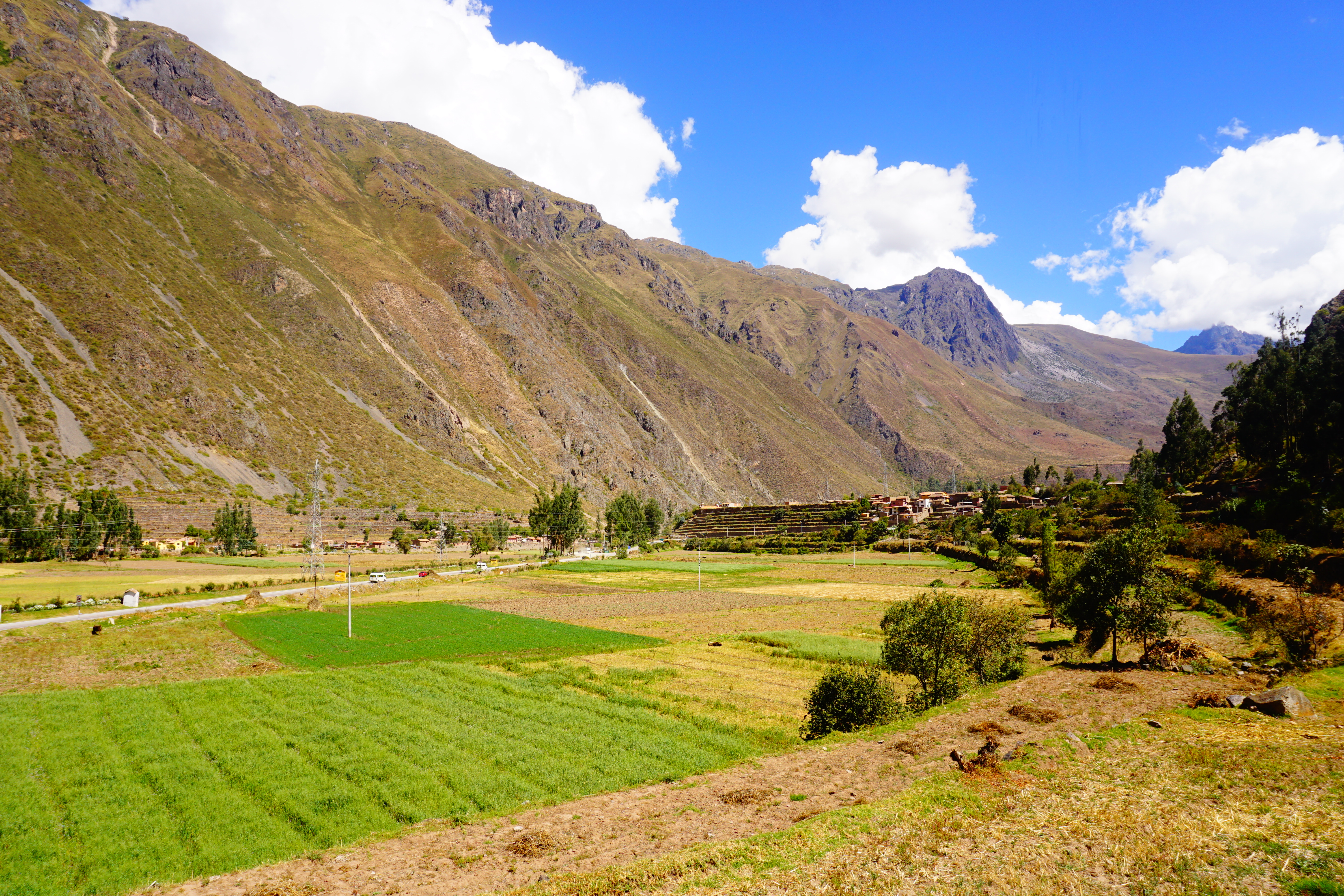 Farmland, Ollantaytambo, Sacred Valley, Peru