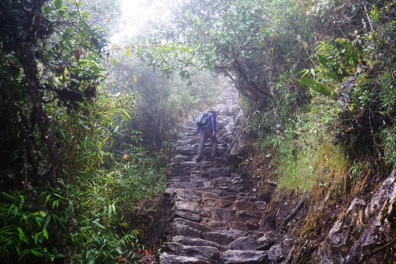 Hiking to Montana Machu Picchu, Peru