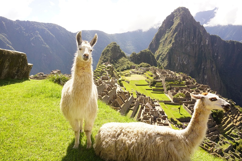 Machu Picchu, Cusco, Peru in a month