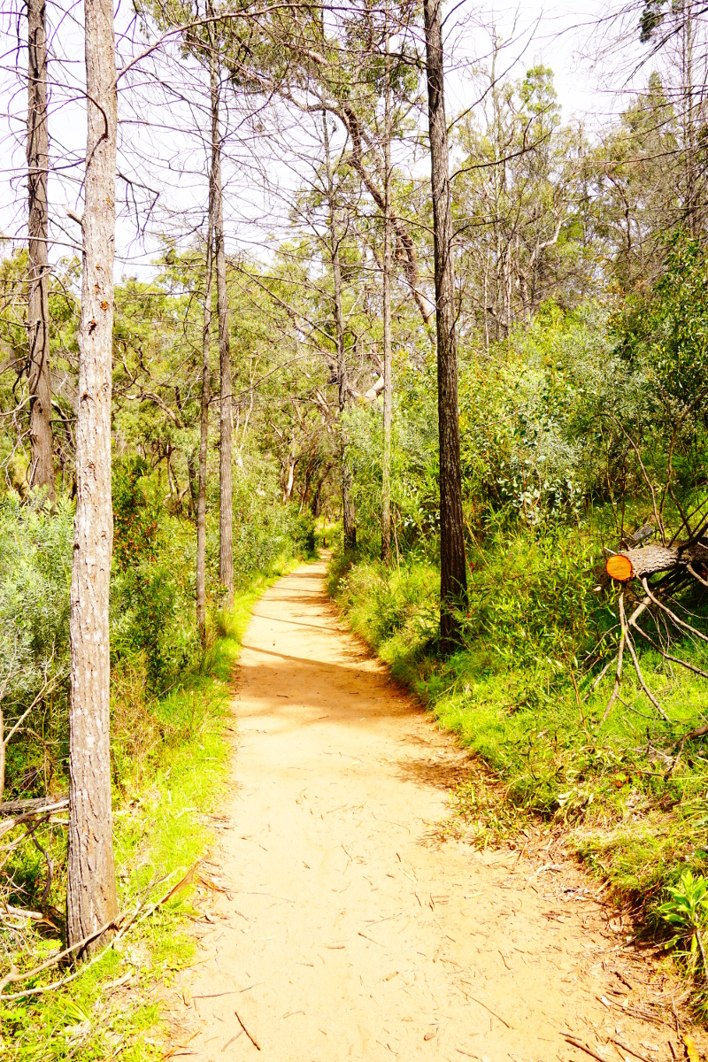 Warrumbungle National Park, NSW, Australia