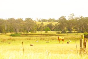 Bents Basin, NSW, Australia